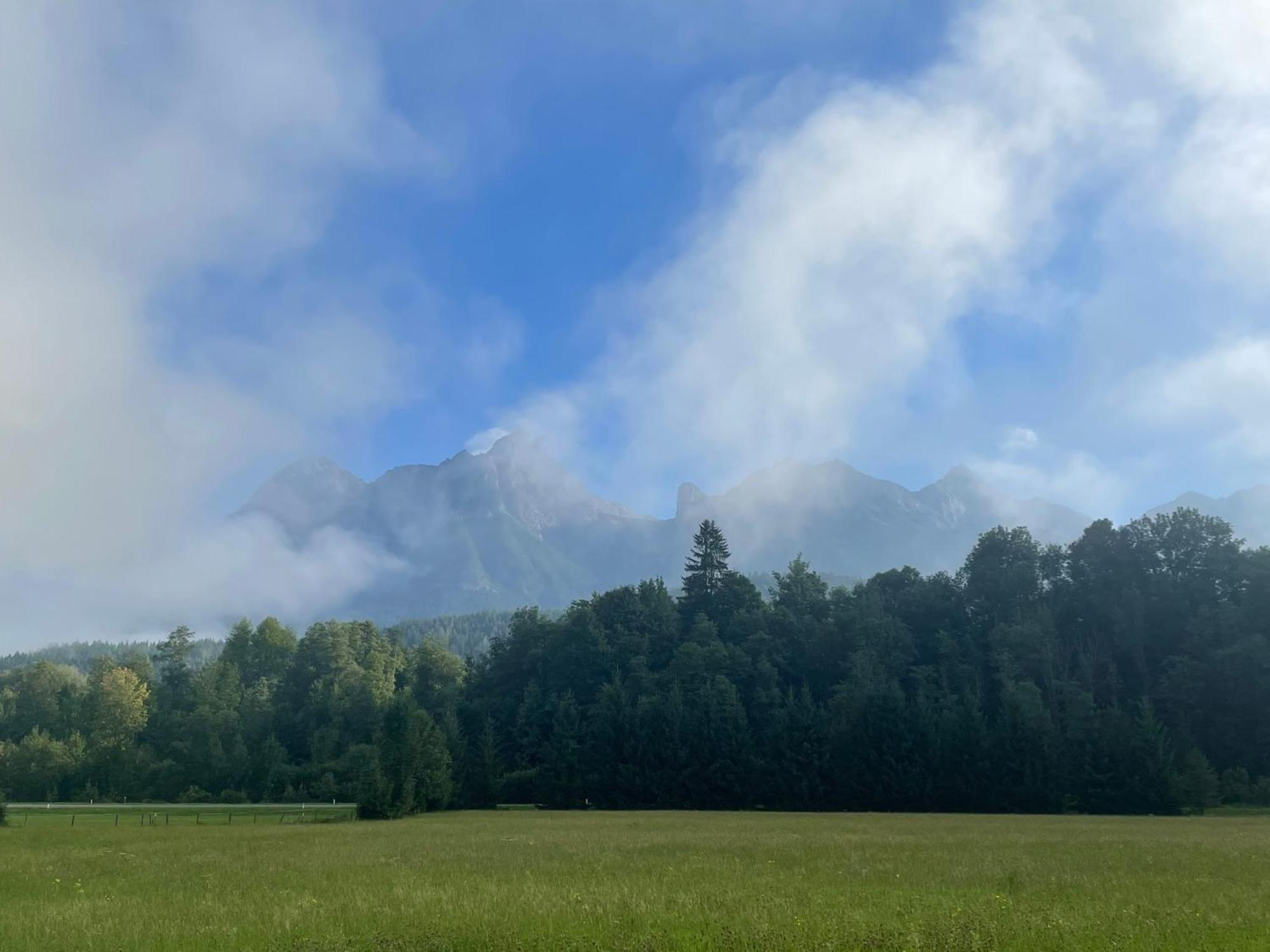 Obermuehlhof Apartment Saalfelden Екстериор снимка